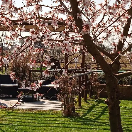 Country house Podere Casorbica *
