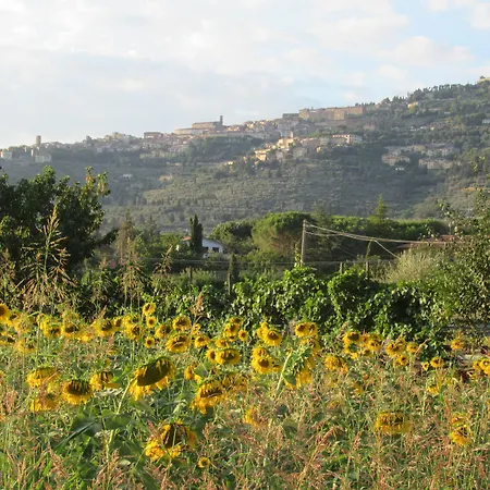 Podere Casorbica Country house