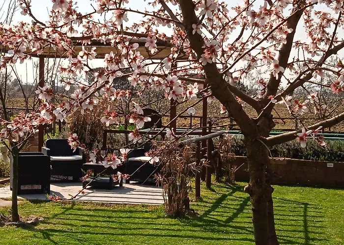 Country house Podere Casorbica *