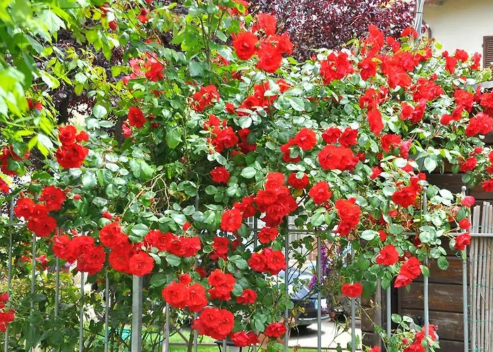 Country house Podere Casorbica